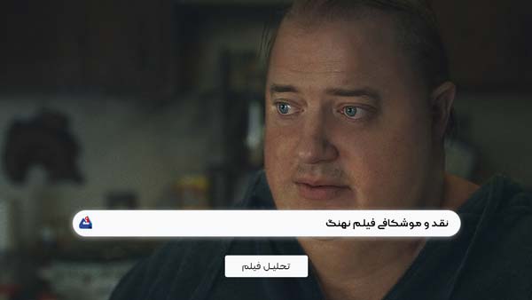نقد فیلم نهنگ (The Whale) | برسی نکات مهم این فیلم | The Whale 2022 1 نقد فیلم نهنگ (The Whale)